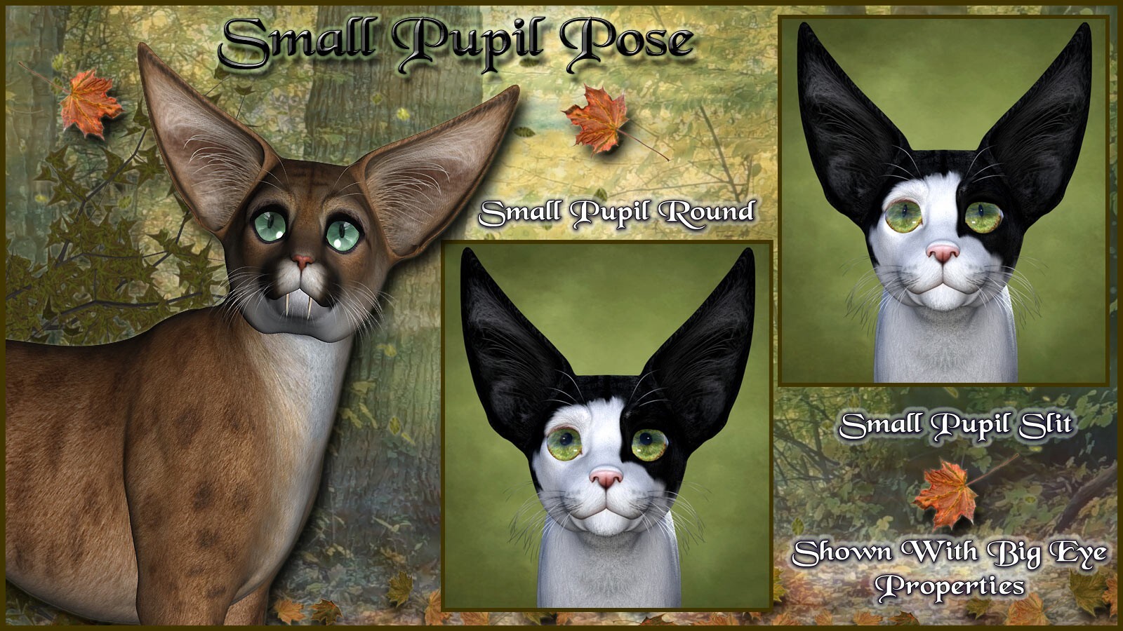 Catula for the HiveWire House Cat by N/A