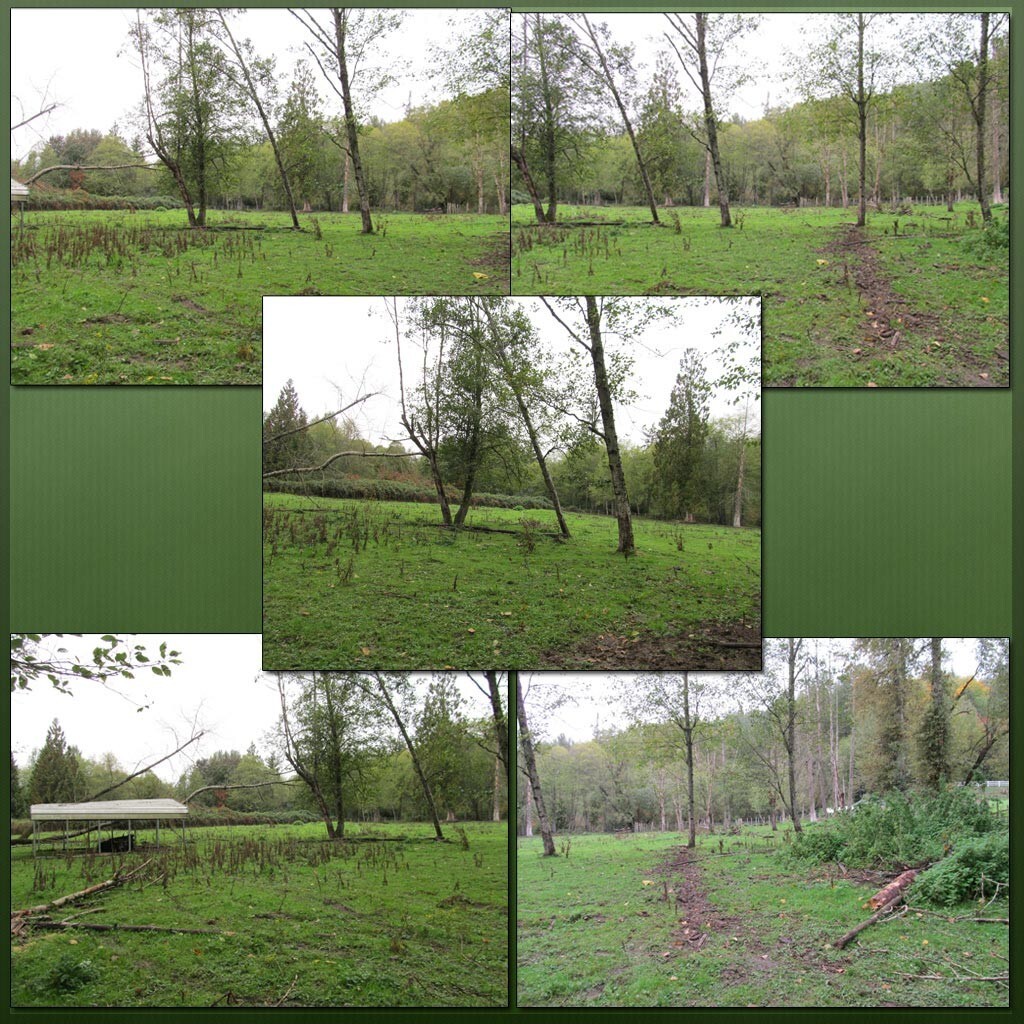 Cow Pasture Backgrounds by N/A