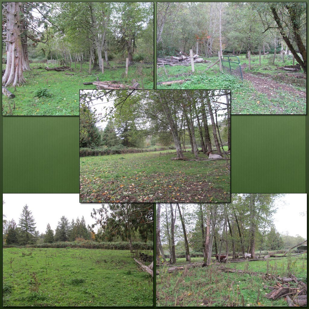 Cow Pasture Backgrounds by N/A