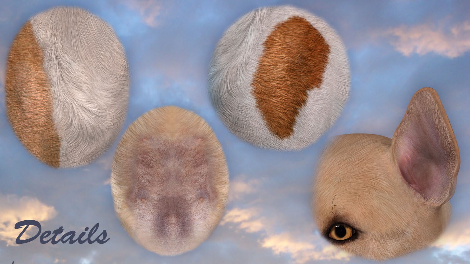 Coat Colors for the HiveWire Big Dog Set 1 by N/A