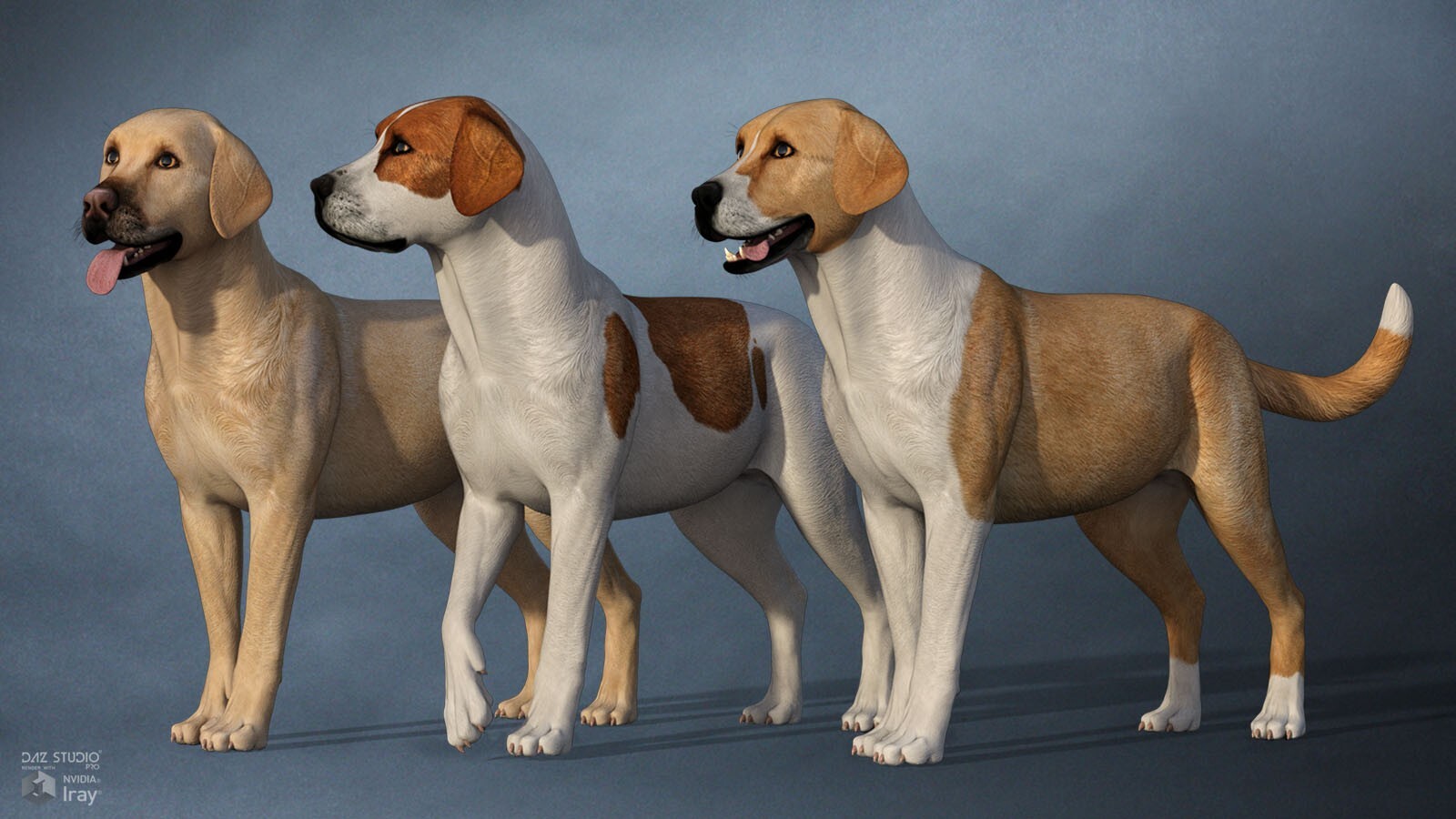 Coat Colors for the HiveWire Big Dog Set 1 by N/A