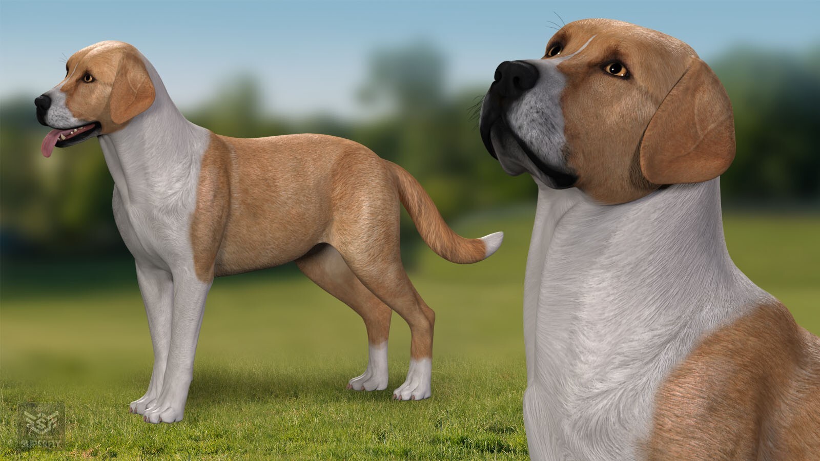 Coat Colors for the HiveWire Big Dog Set 1 by N/A