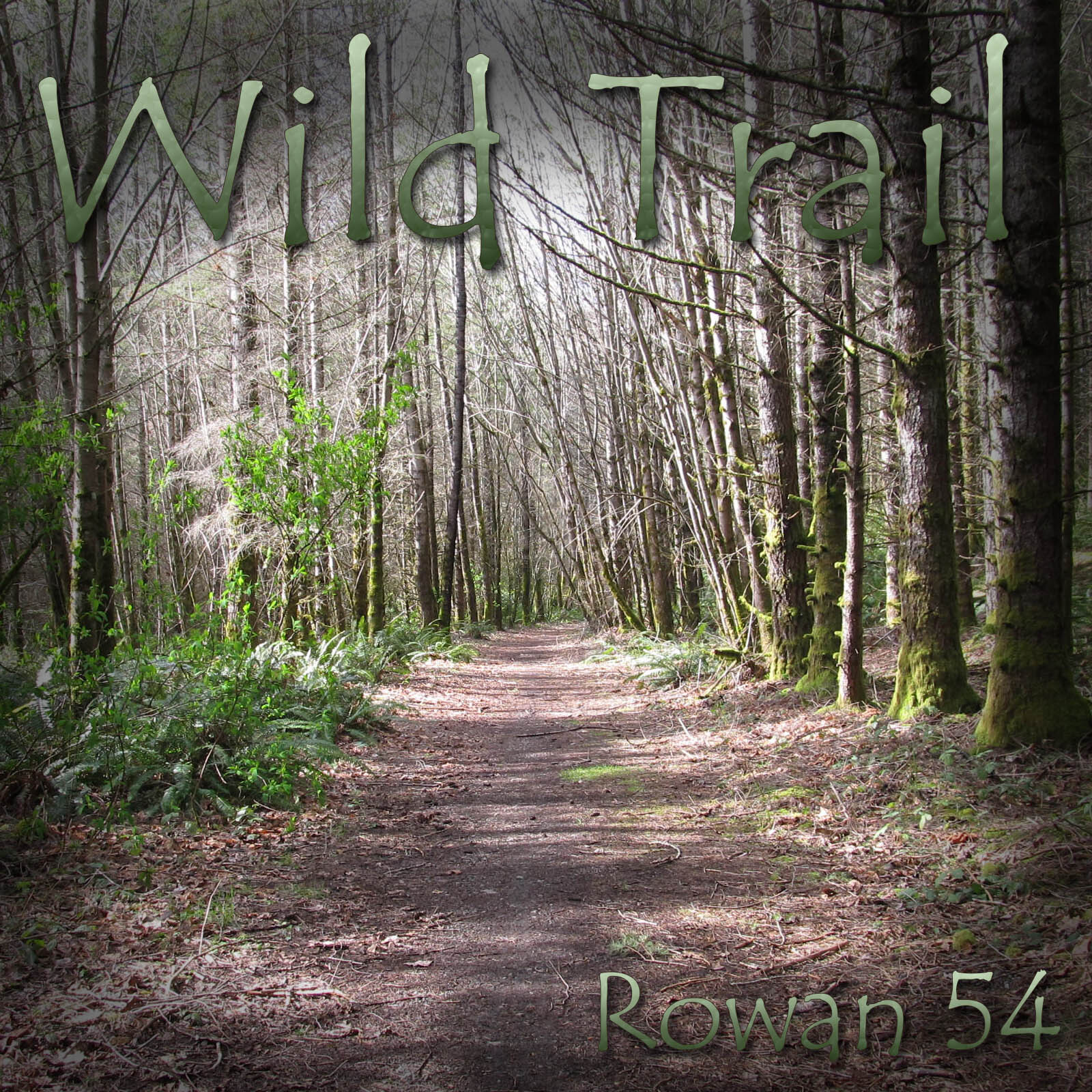 Wild Trail Backgrounds by N/A