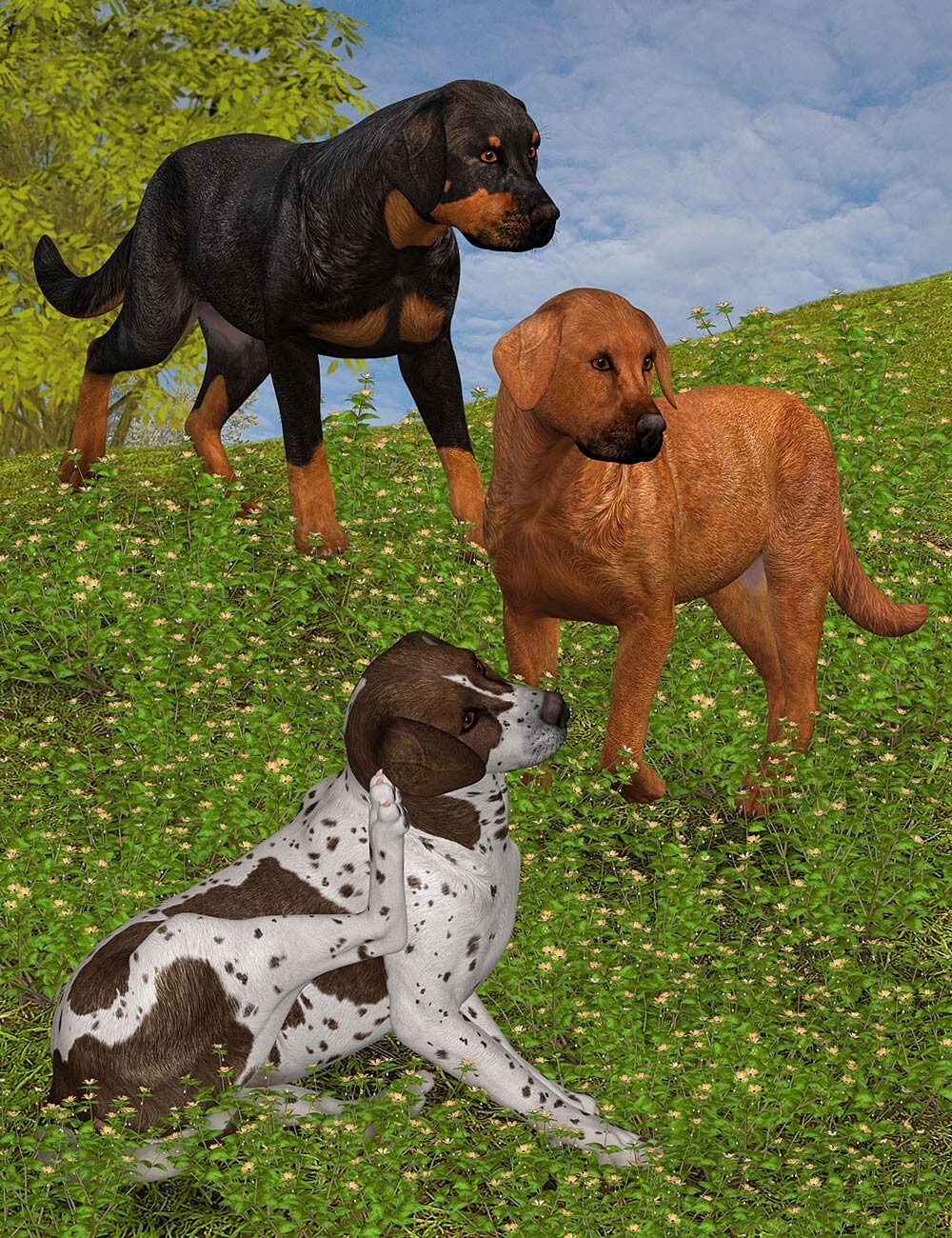 Coat Colors for the HiveWire Big Dog Set 2 by N/A