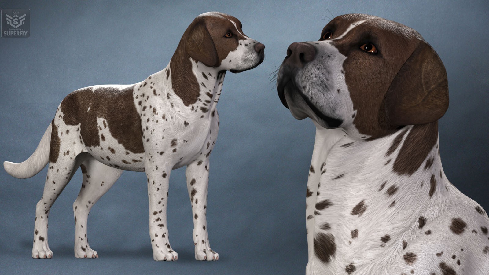 Coat Colors for the HiveWire Big Dog Set 2 by N/A