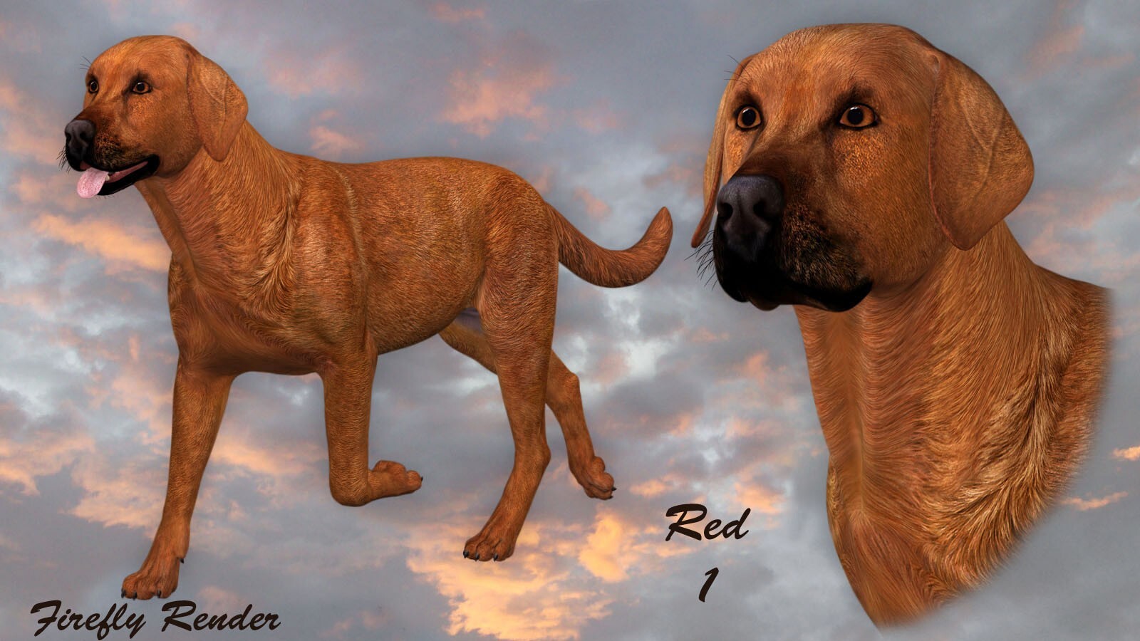 Coat Colors for the HiveWire Big Dog Set 2 by N/A