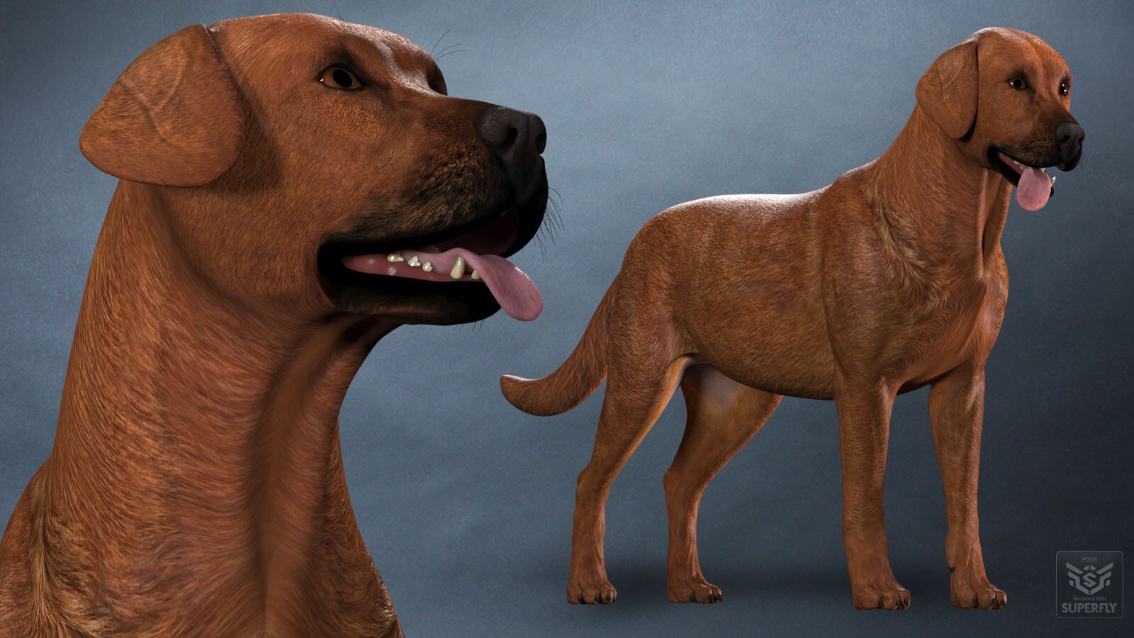 Coat Colors for the HiveWire Big Dog Set 2 by N/A