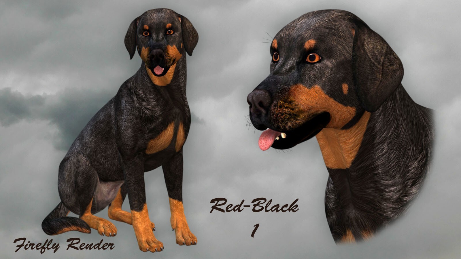 Coat Colors for the HiveWire Big Dog Set 2 by N/A