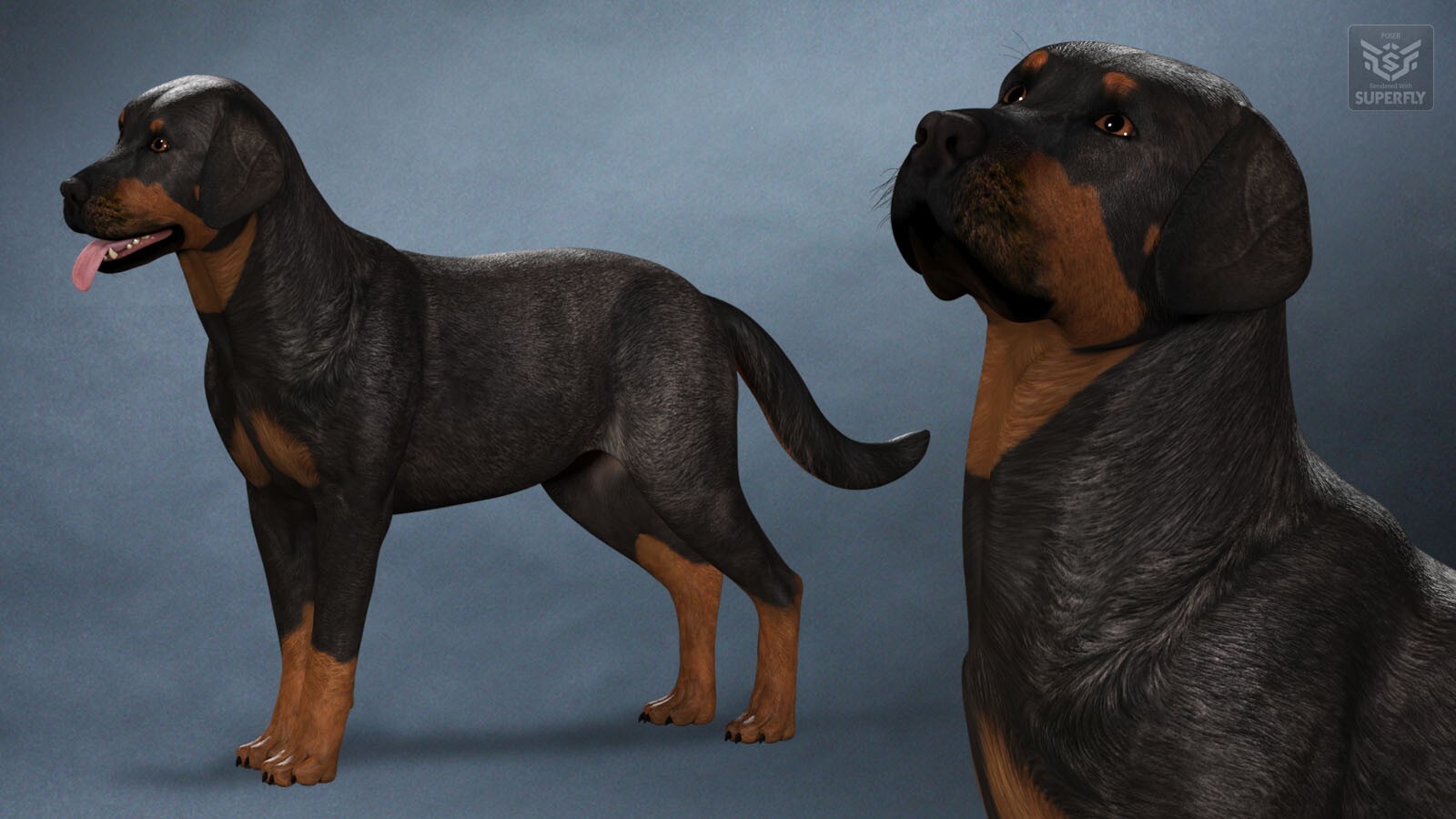 Coat Colors for the HiveWire Big Dog Set 2 by N/A