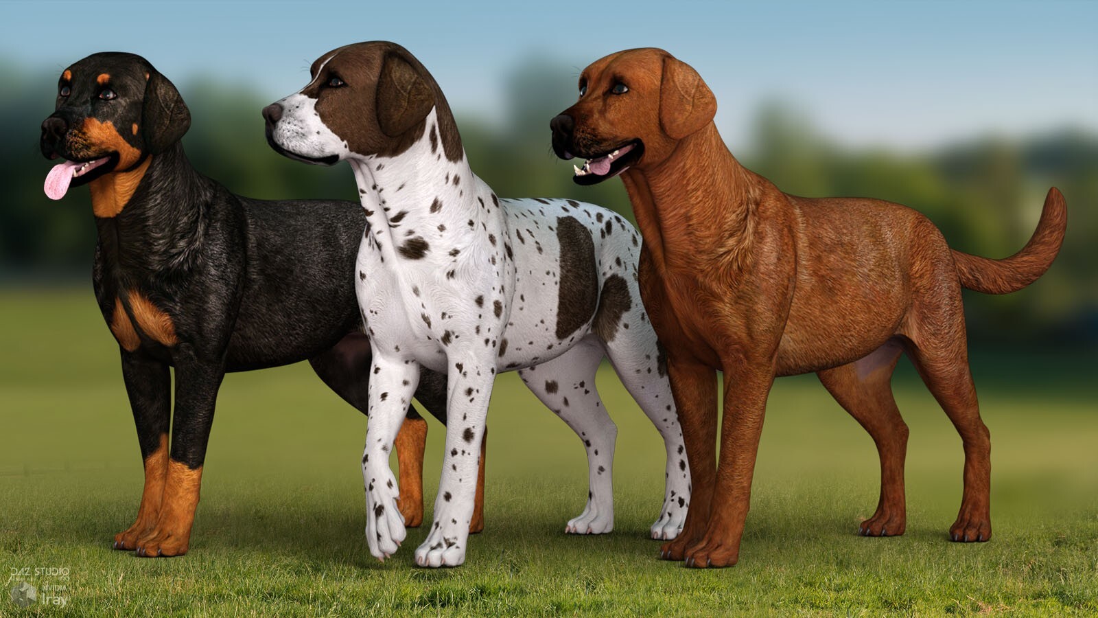 Coat Colors for the HiveWire Big Dog Set 2 by N/A