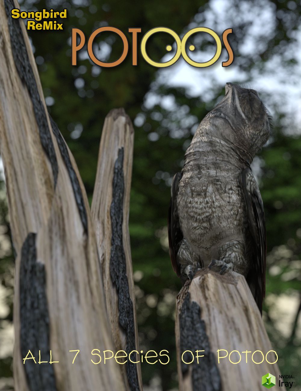 Songbird Remix Potoos by N/A