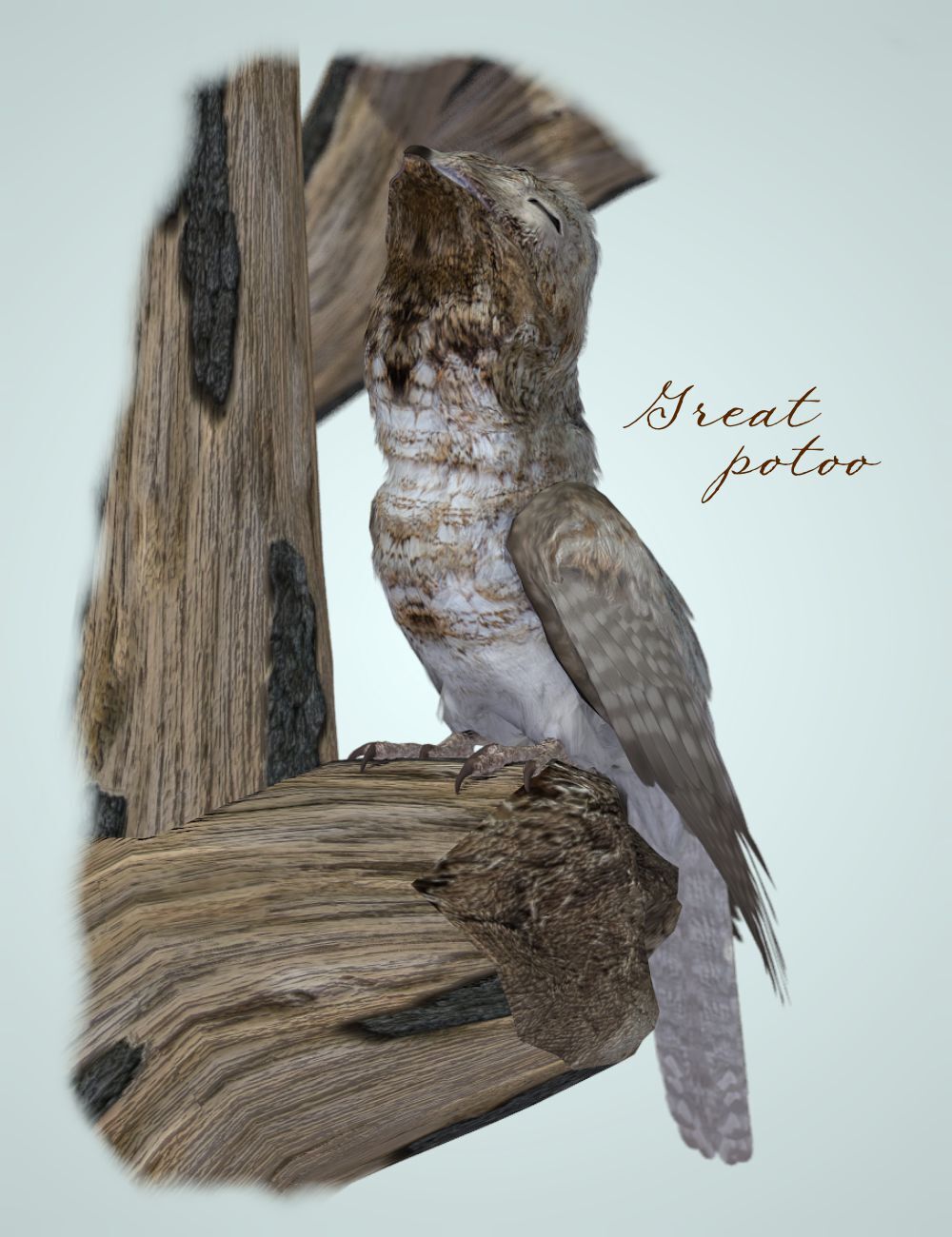 Songbird Remix Potoos by N/A