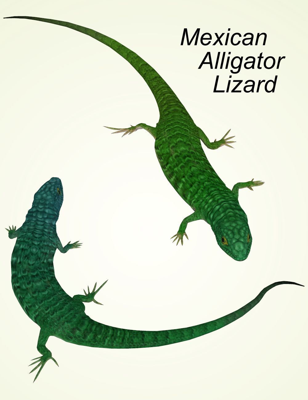 Nature's Wonders Lizards of the World Vol. 4 by N/A