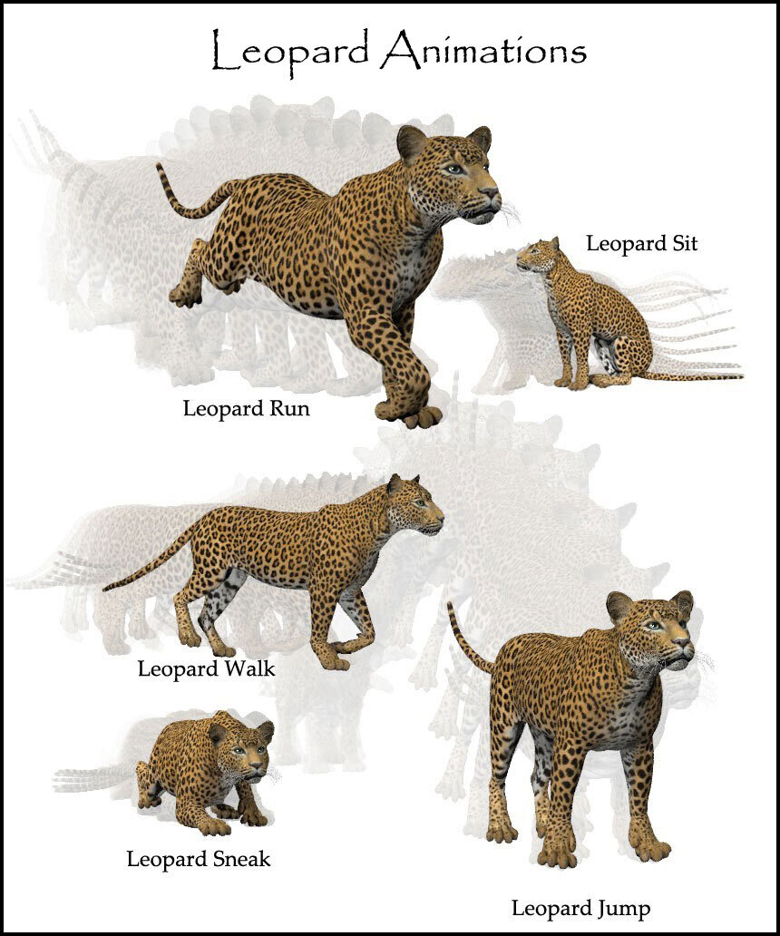 Animations for the HiveWire Big Cat by N/A