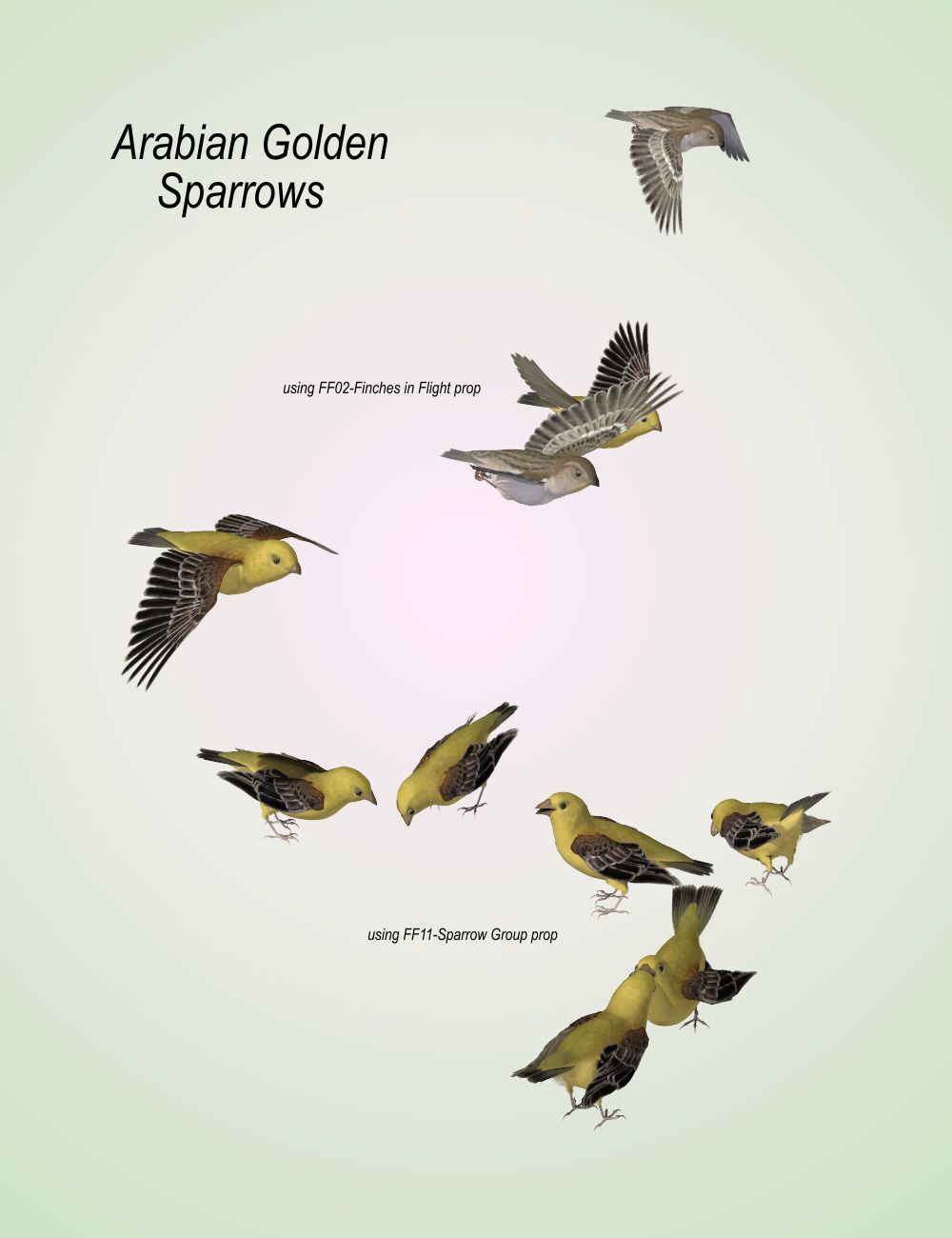 Songbird ReMix  Flock Formations Materials by N/A