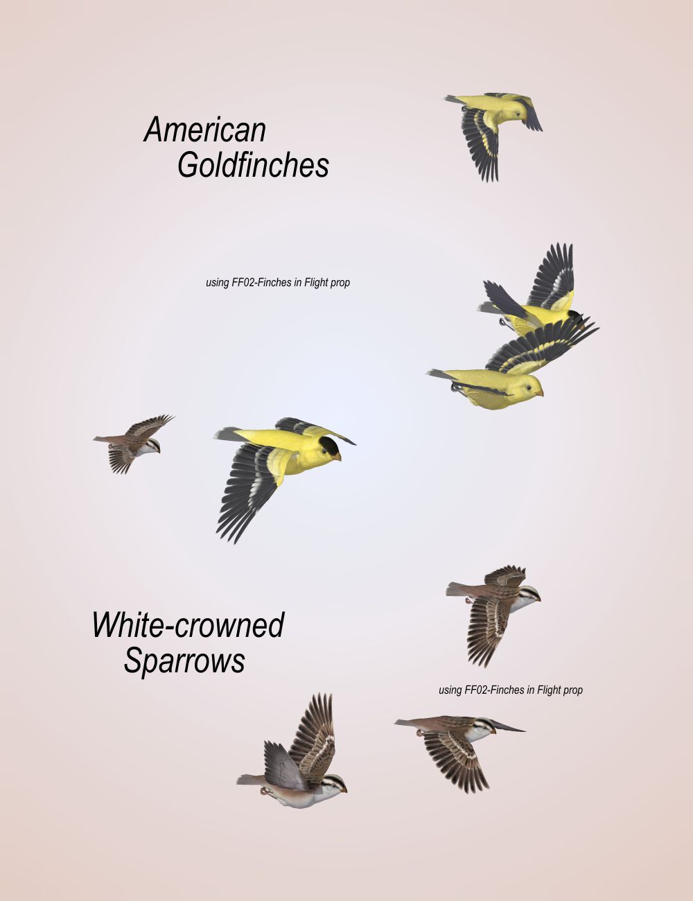 Songbird ReMix  Flock Formations Materials by N/A
