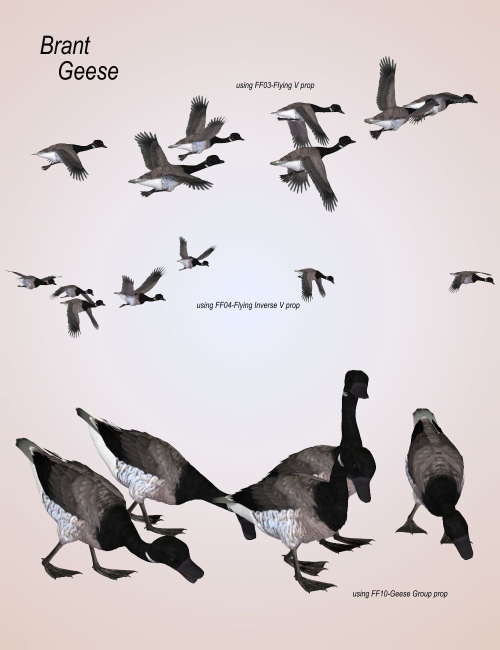 Songbird ReMix  Flock Formations Materials by N/A