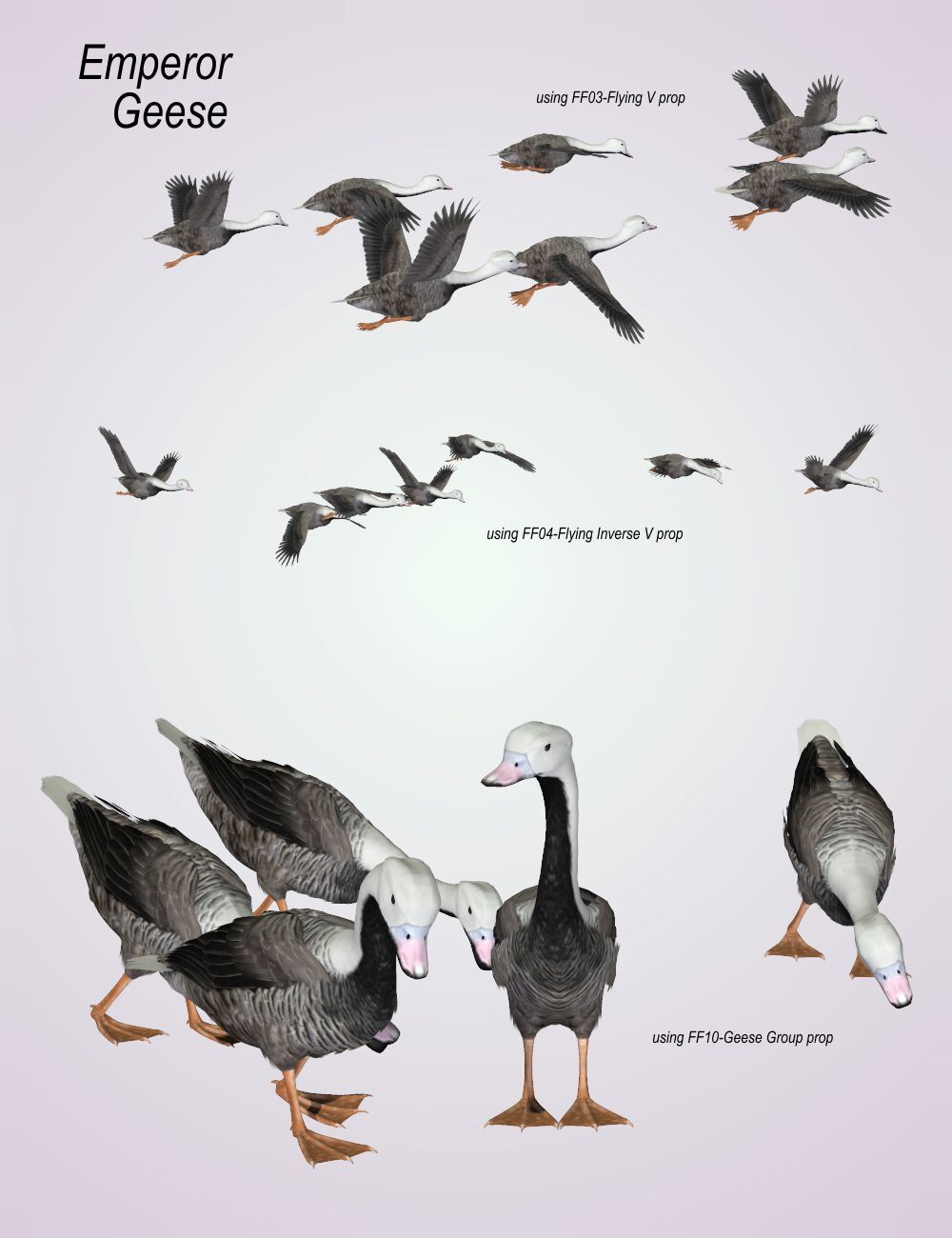 Songbird ReMix  Flock Formations Materials by N/A