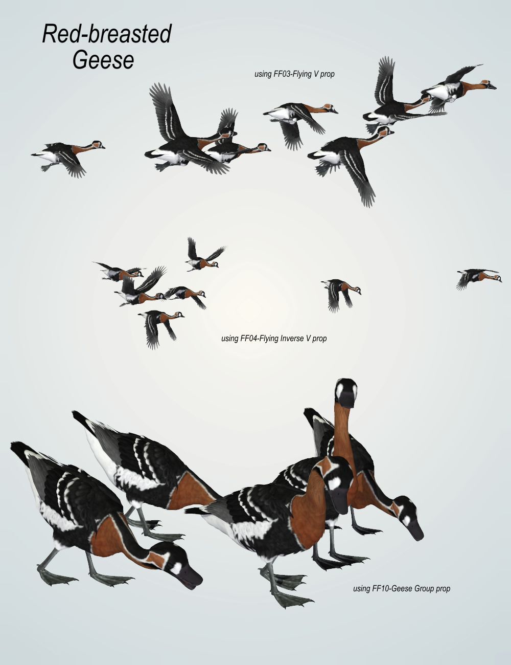 Songbird ReMix  Flock Formations Materials by N/A