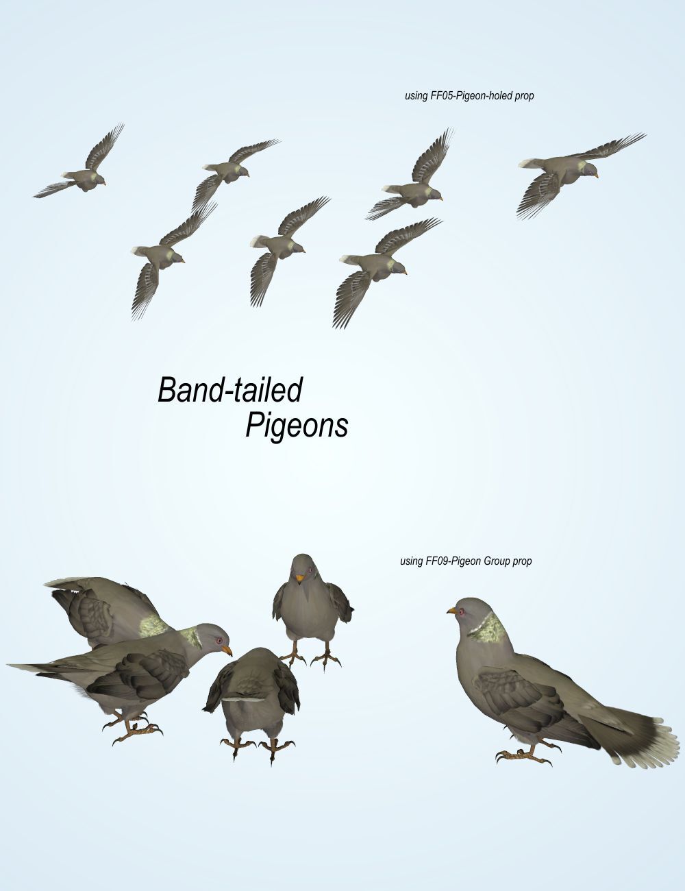 Songbird ReMix  Flock Formations Materials by N/A