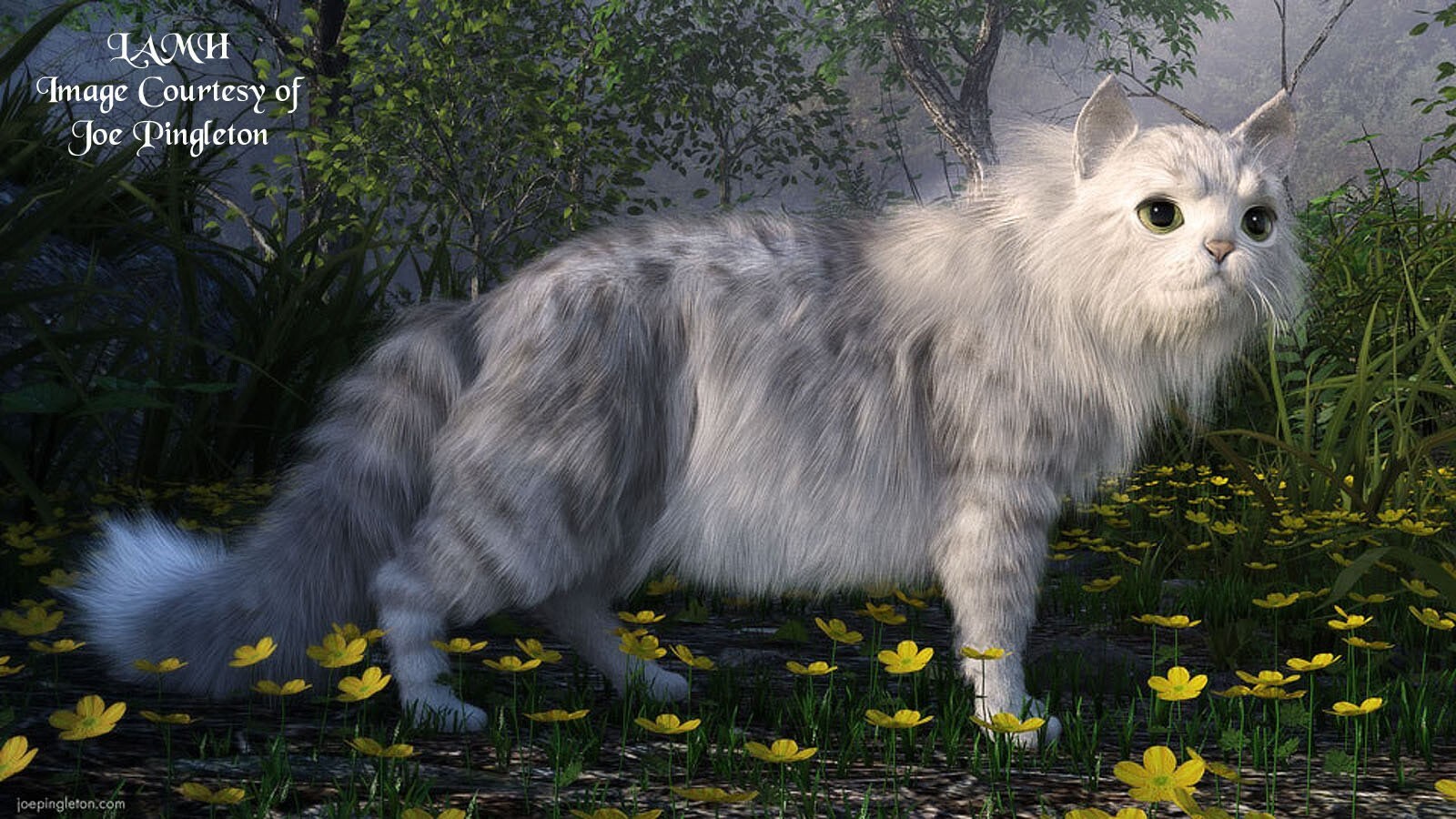 Grimalkin for the HiveWire House Cat by N/A