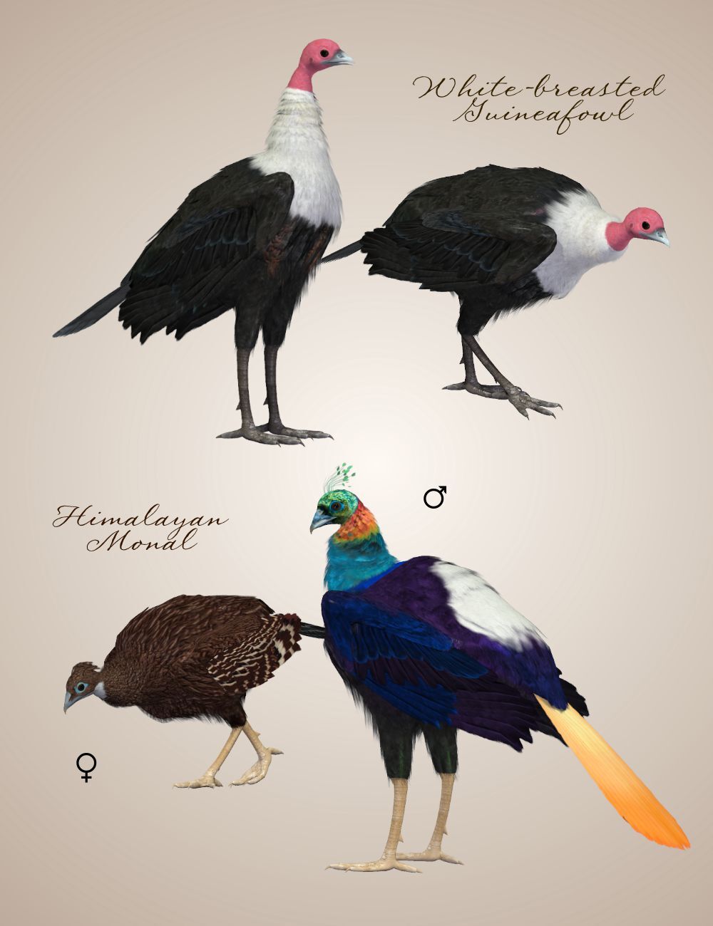 Songbird ReMix Gamebirds Vol 2 by N/A