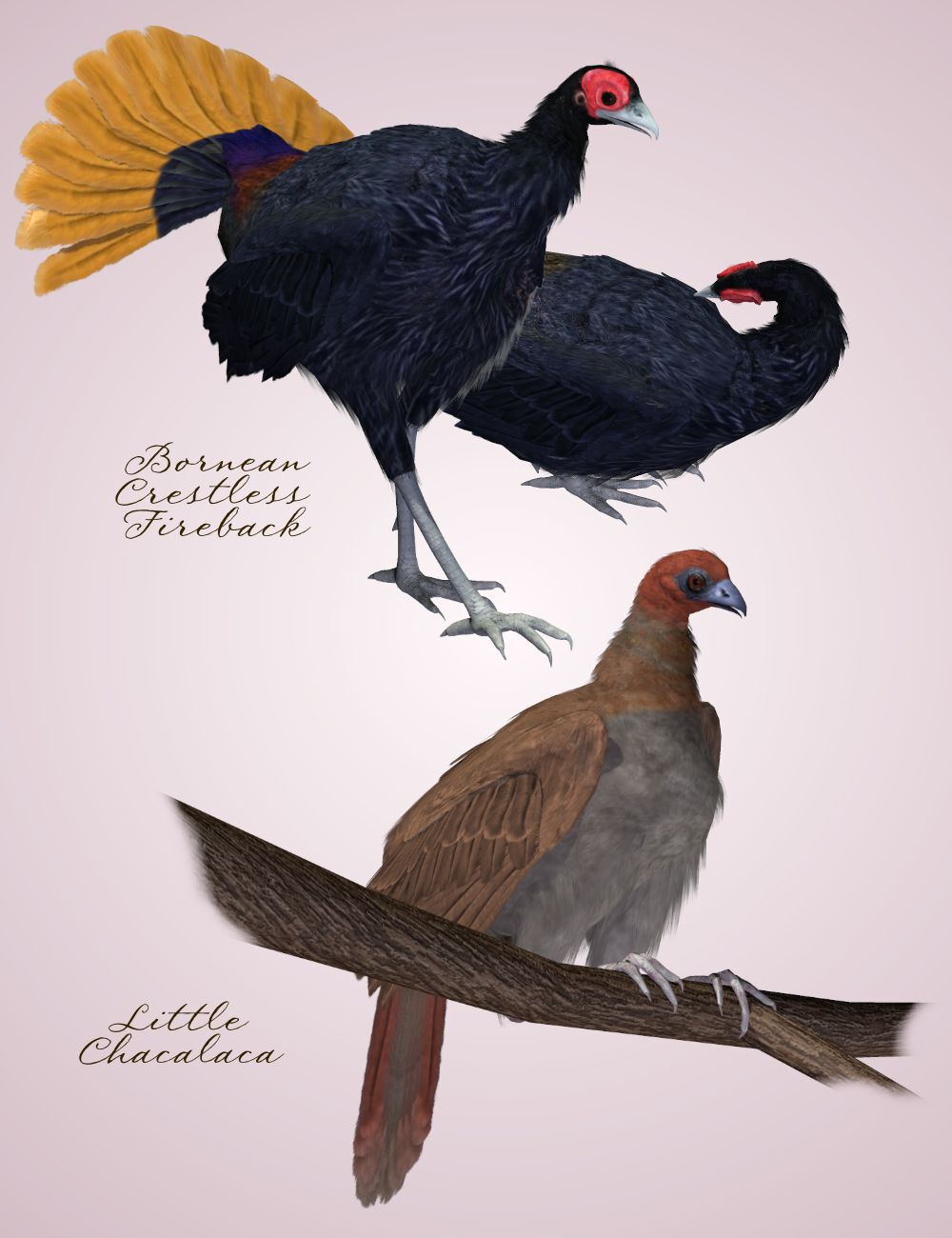 Songbird ReMix Gamebirds Vol 2 by N/A