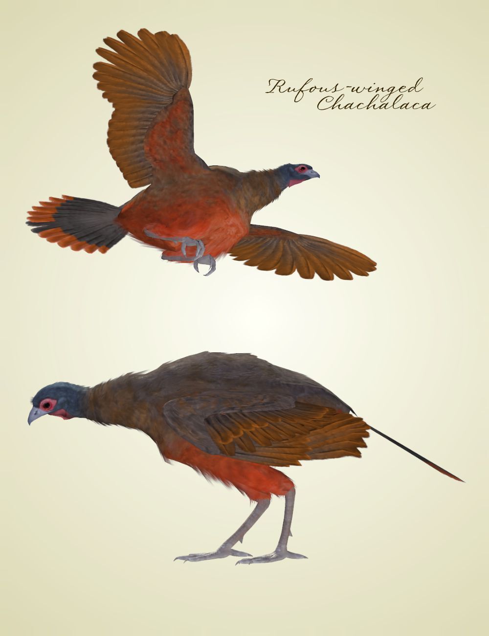 Songbird ReMix Gamebirds Vol 2 by N/A