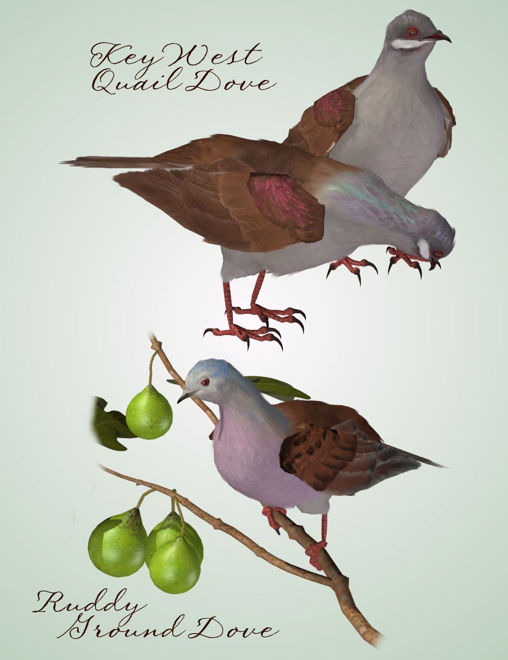 Songbird ReMix Gamebirds Vol 3 by N/A