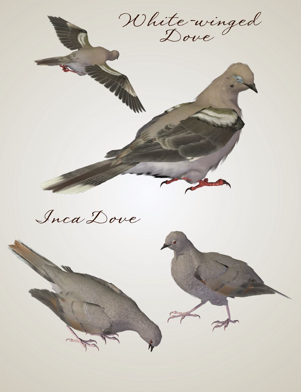 Songbird ReMix Gamebirds Vol 3 by N/A