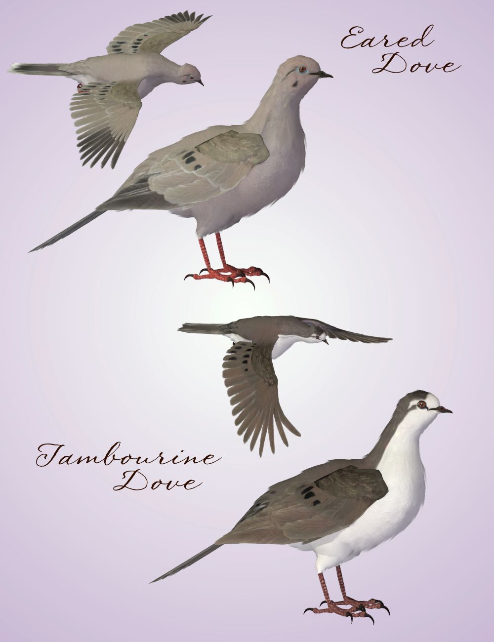 Songbird ReMix Gamebirds Vol 3 by N/A