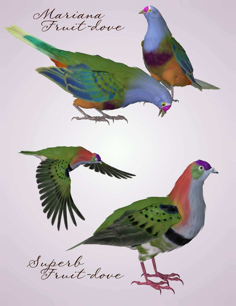 Songbird ReMix Gamebirds Vol 3 by N/A