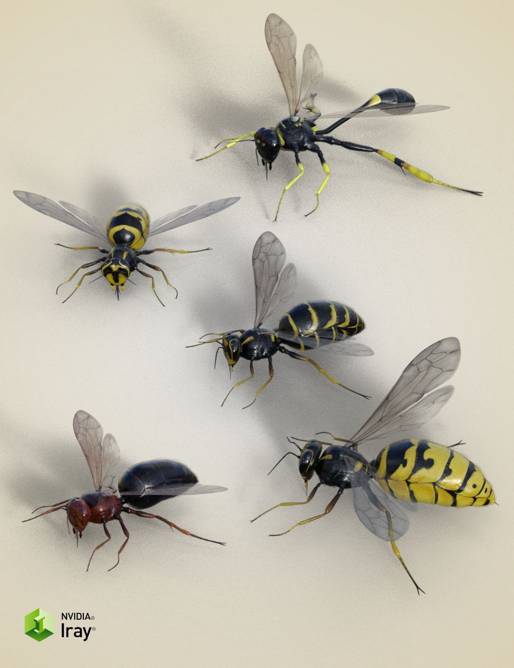 Nature's Wonders Bees of the World Vol. 1 by N/A