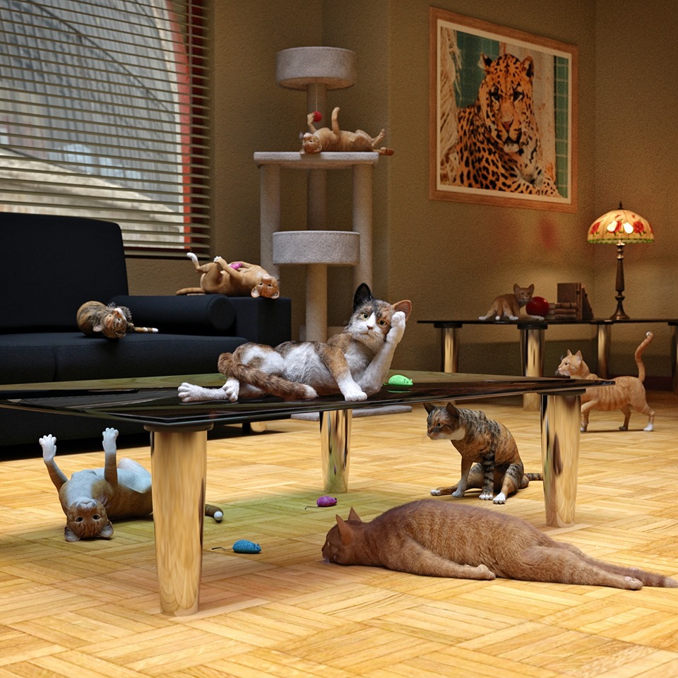 Broken Cats and Ninjas by N/A