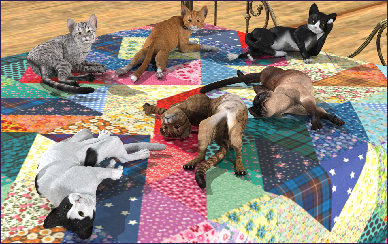 Broken Cats and Ninjas by N/A