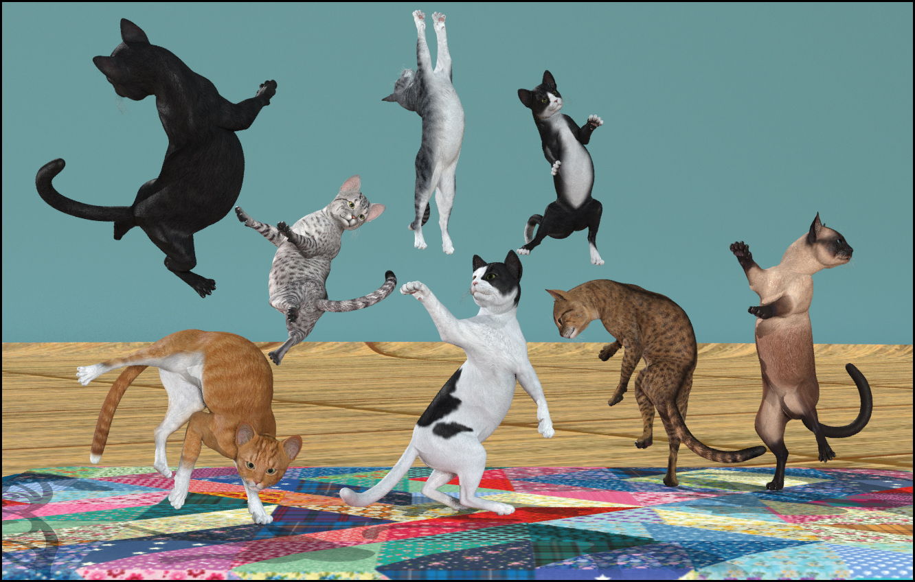 Broken Cats and Ninjas by N/A