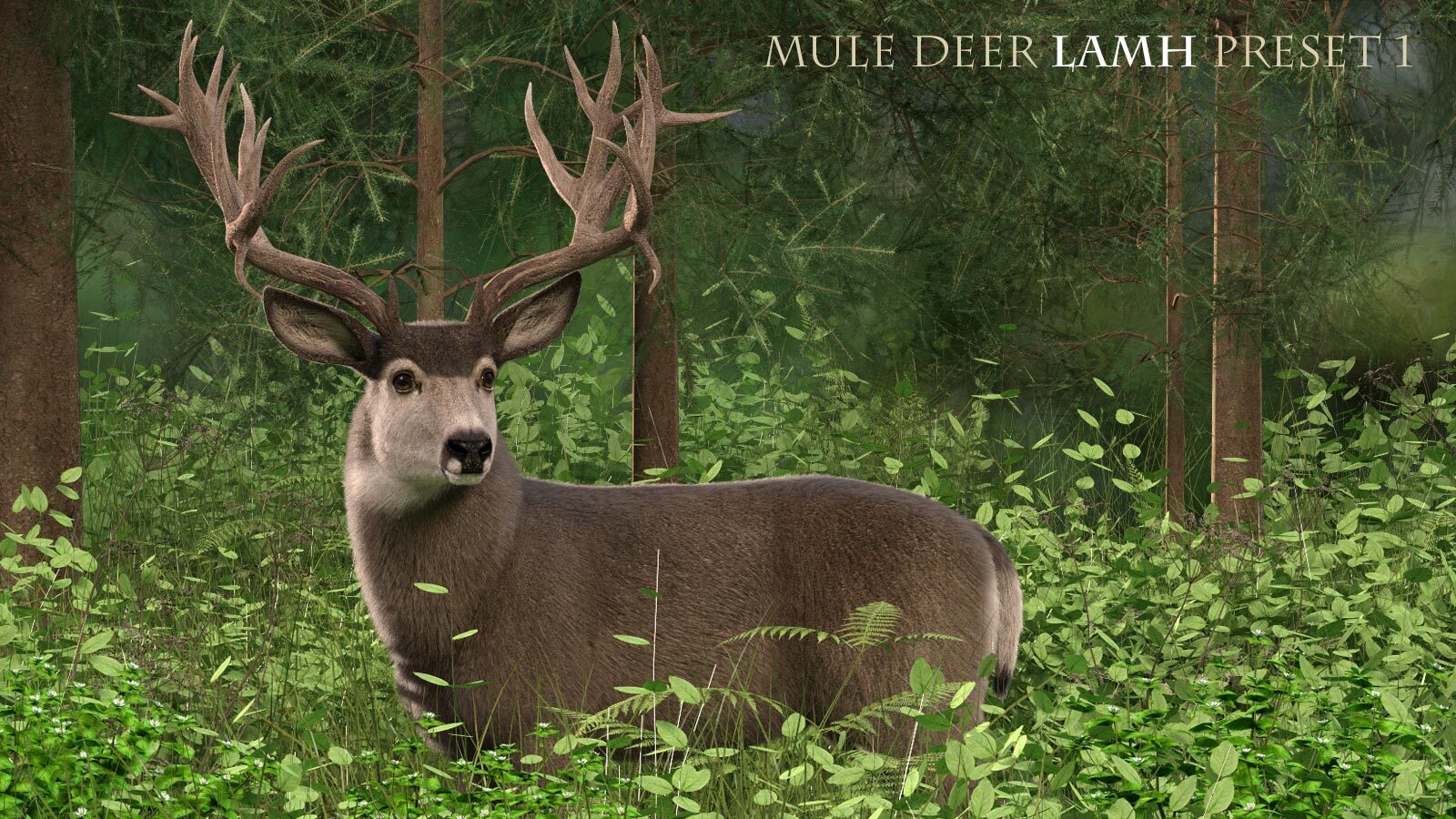CWRW LAMH: HW Mule Deer & HW Caribou Presets by N/A