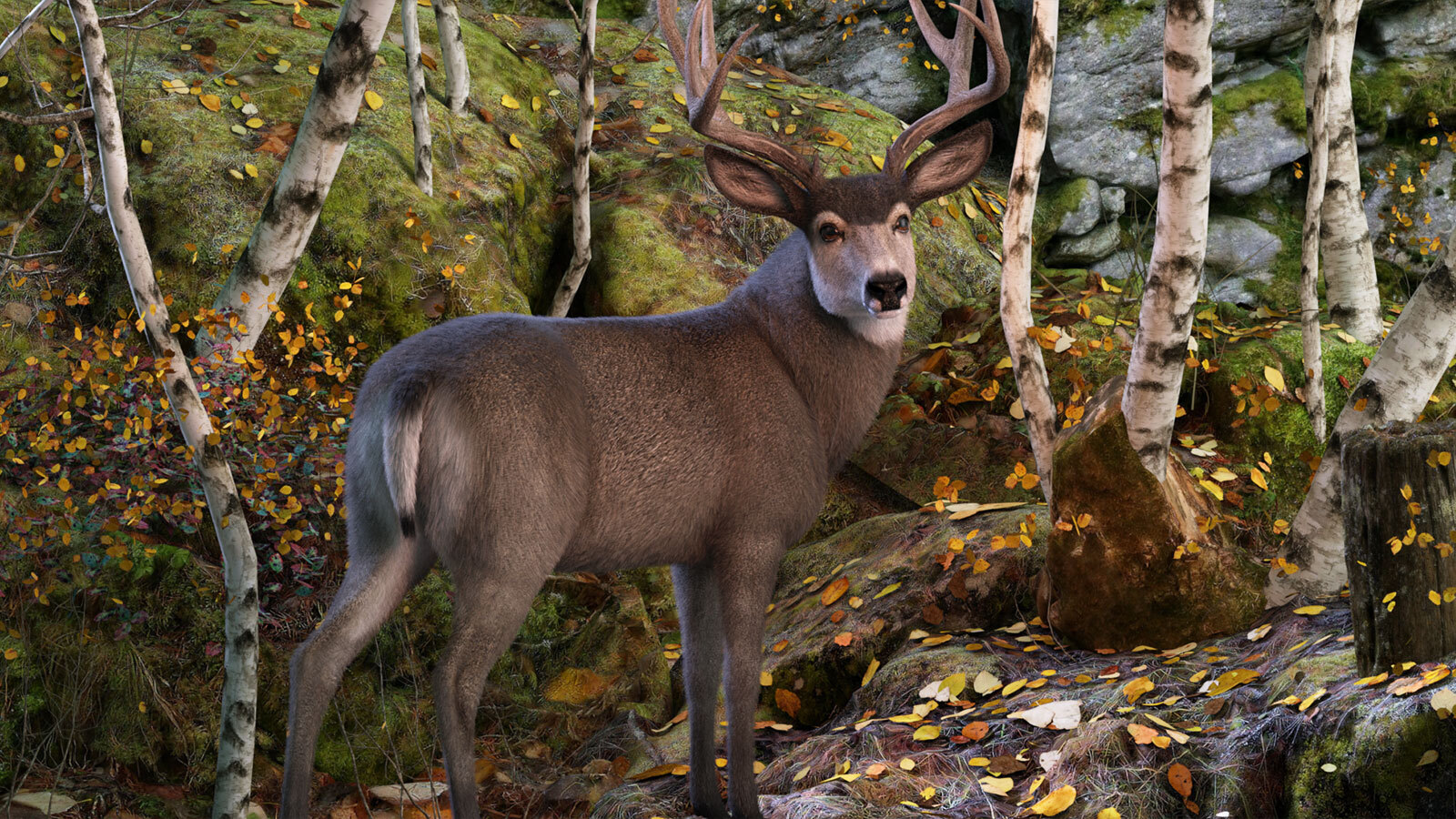 CWRW LAMH: HW Mule Deer & HW Caribou Presets by N/A