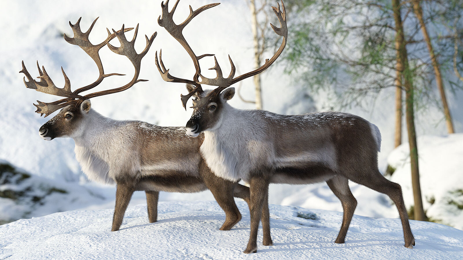 CWRW LAMH: HW Mule Deer & HW Caribou Presets by N/A