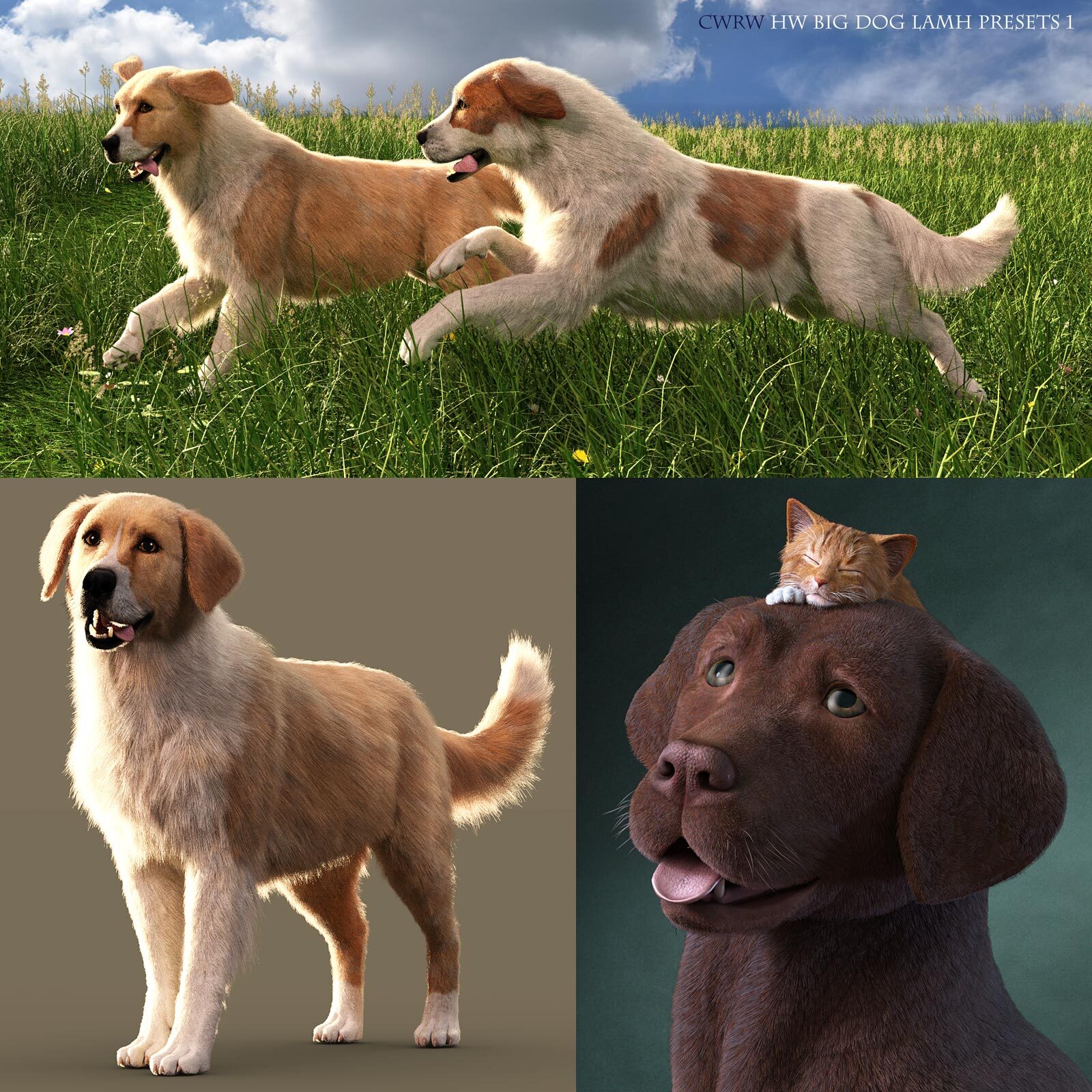 CWRW LAMH: Hive Wire Cat, Kitten, Big Dog & Puppy Bundle by N/A