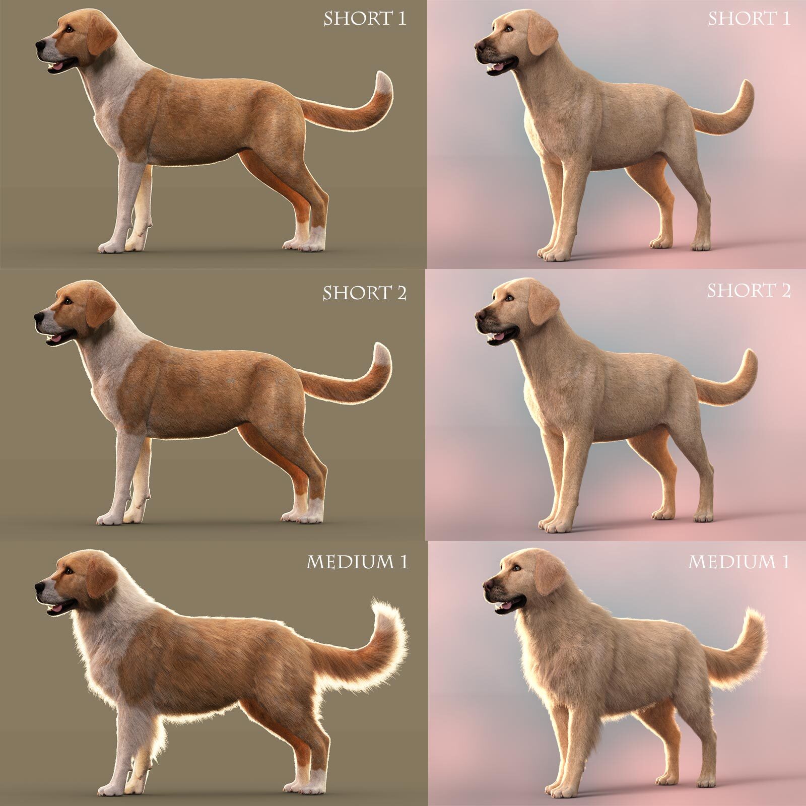 CWRW LAMH: Hive Wire Cat, Kitten, Big Dog & Puppy Bundle by N/A
