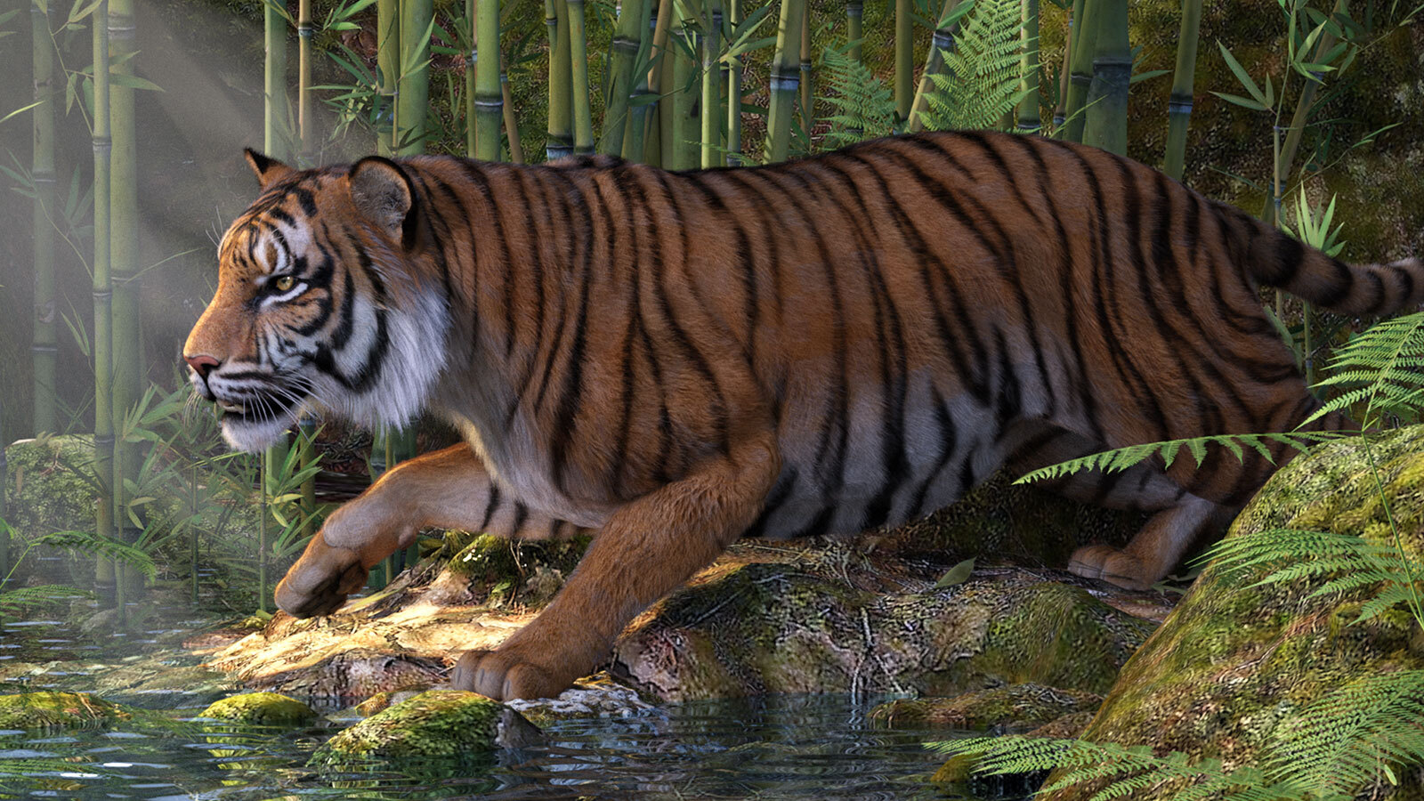 CWRW LAMH: Tiger & Cougar Presets by N/A