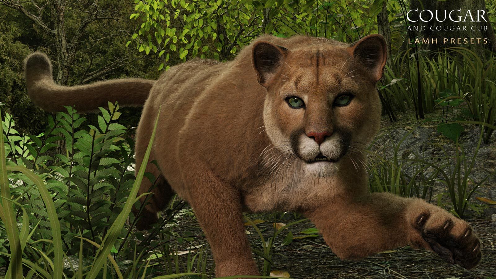 CWRW LAMH: Tiger & Cougar Presets by N/A