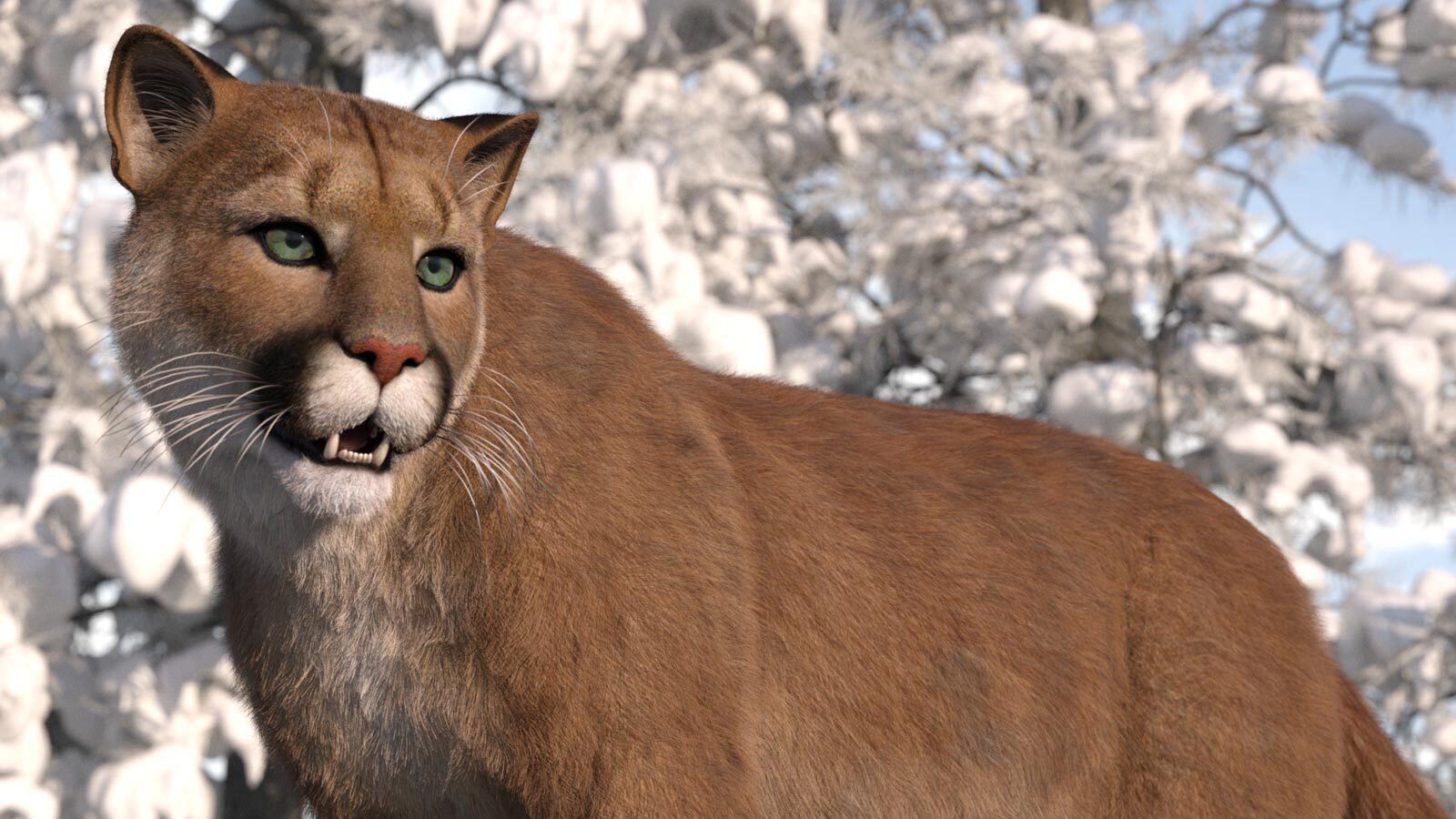 CWRW LAMH: Tiger & Cougar Presets by N/A