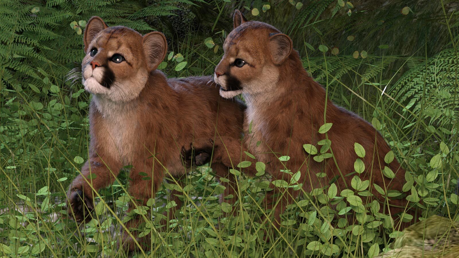 CWRW LAMH: Tiger & Cougar Presets by N/A