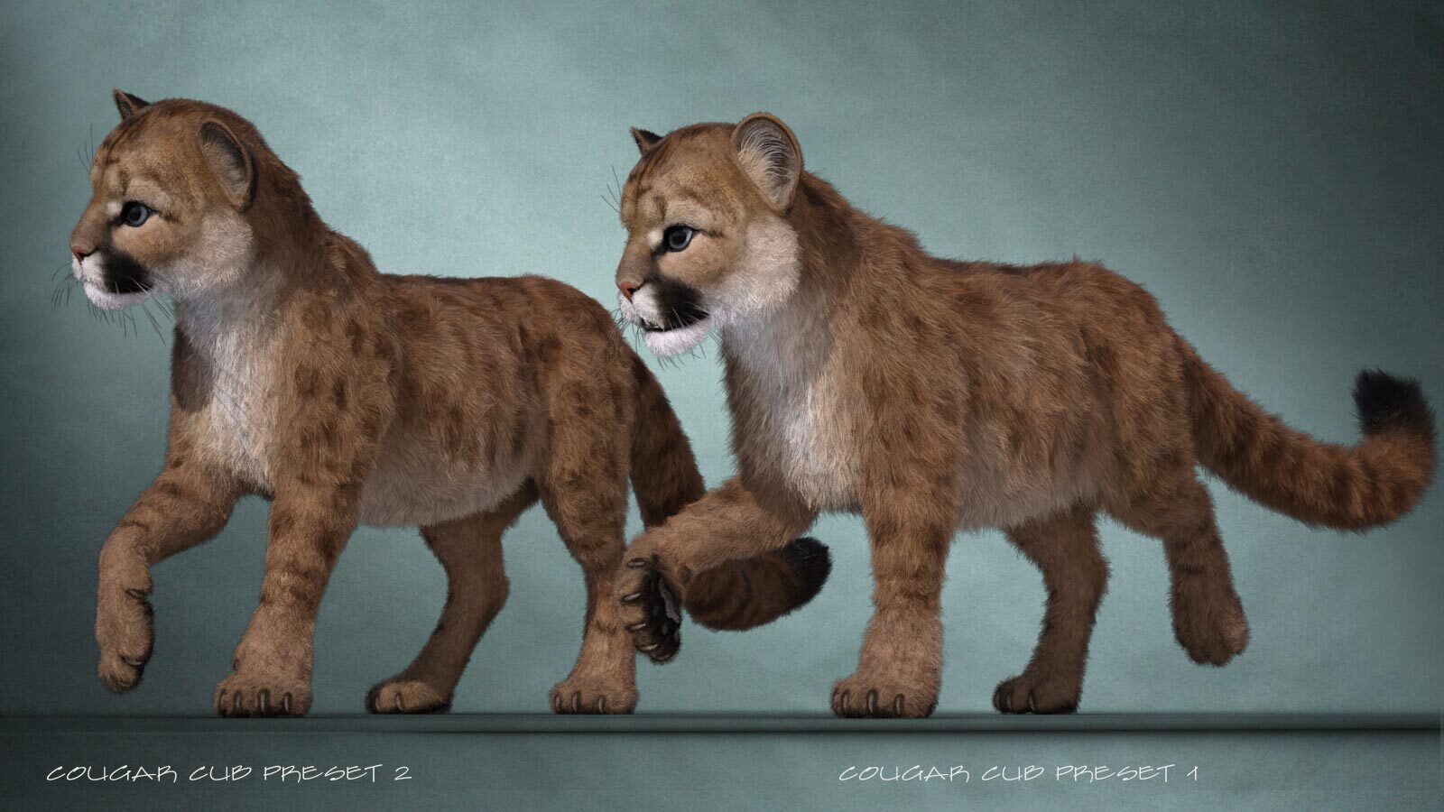 CWRW LAMH: Tiger & Cougar Presets by N/A