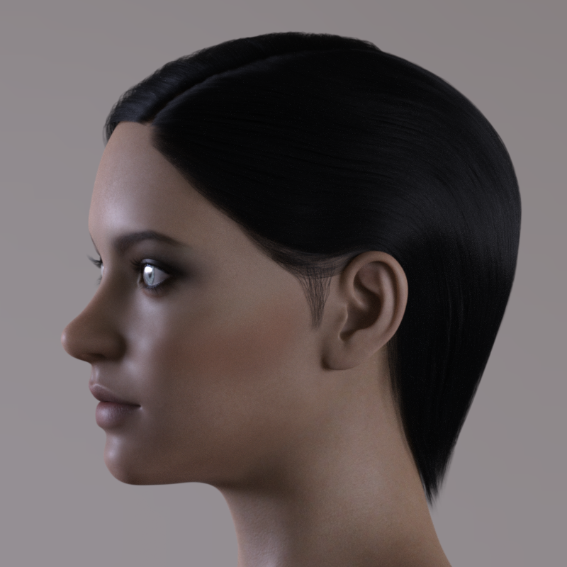 NG Hair for Genesis 8 Female by N/A