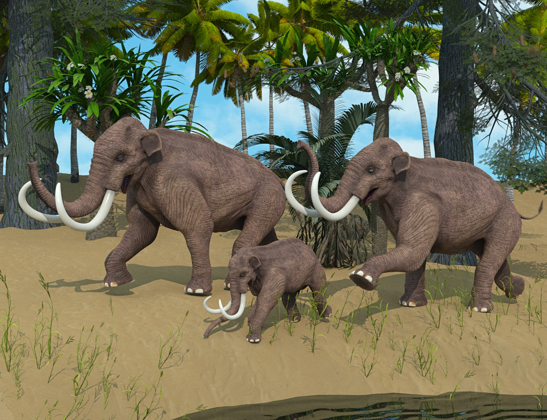 Woolly Mammoth for Poser by N/A