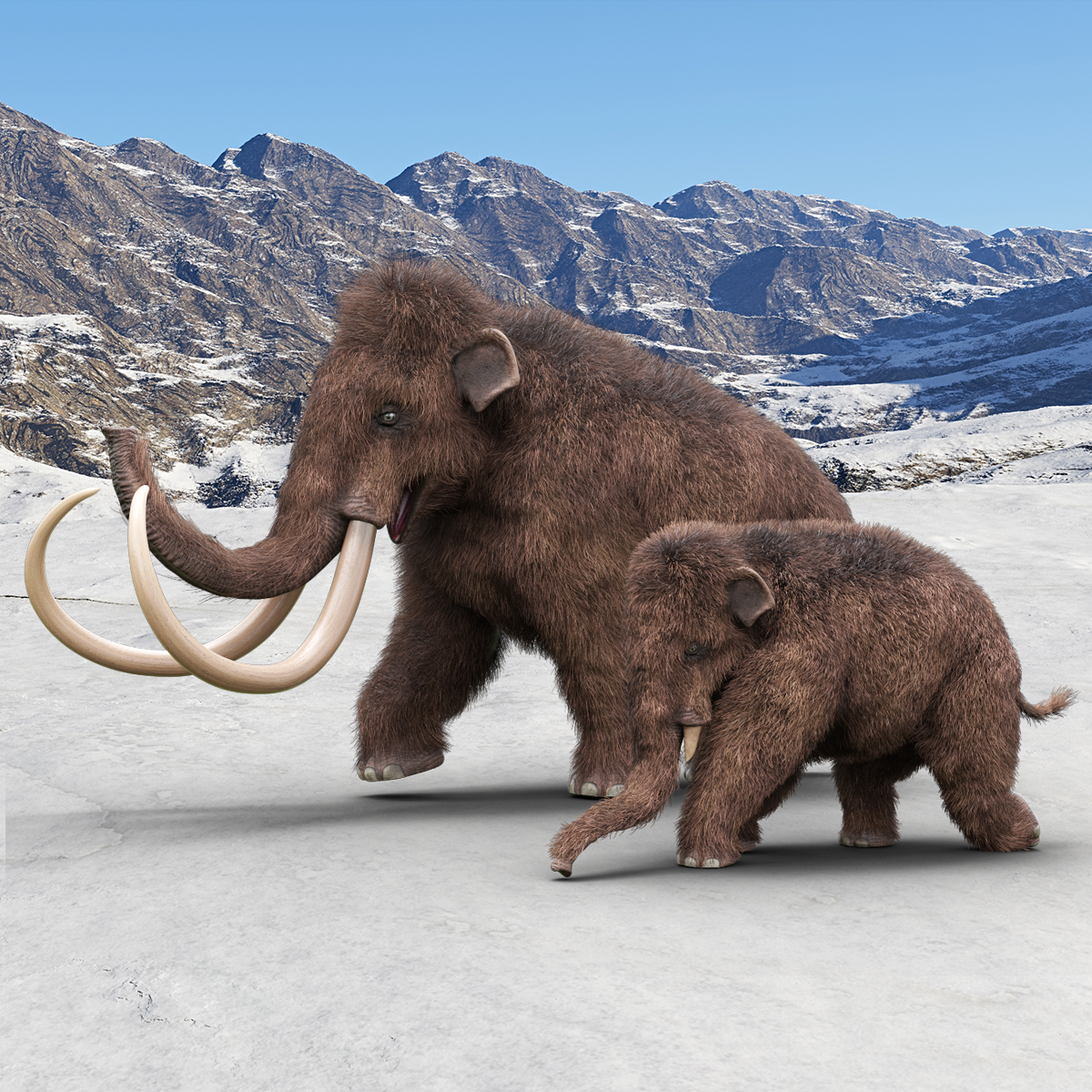 Ice Age Backgrounds by N/A