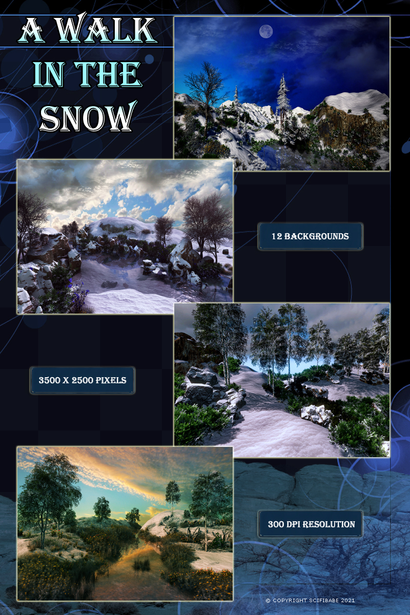 A Walk in the Snow by N/A